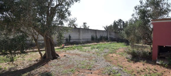 3-Zimmer Haus in Copertino, Italy, Nr. 234791 9