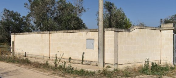 3-Zimmer Haus in Copertino, Italy, Nr. 234791 41