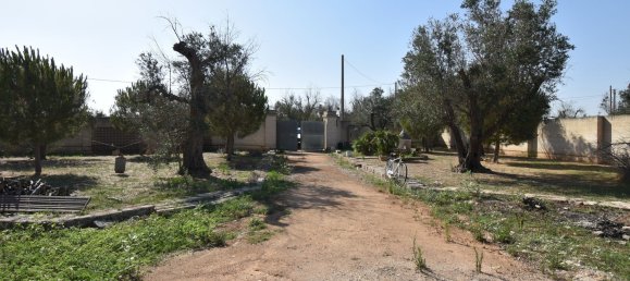 3-Zimmer Haus in Copertino, Italy, Nr. 234791 5