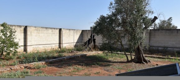 3-Zimmer Haus in Copertino, Italy, Nr. 234791 32