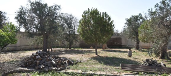 3-Zimmer Haus in Copertino, Italy, Nr. 234791 6