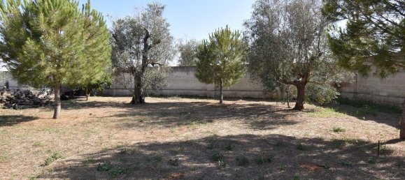 3-Zimmer Haus in Copertino, Italy, Nr. 234791 10