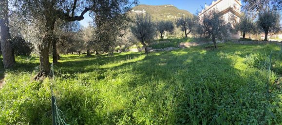 8-Zimmer Villa in Capaccio Paestum, Italy, Nr. 8064 3