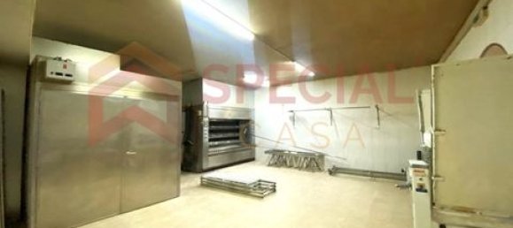 483m² Commercial property in Paredes, Portugal No. 151689 15