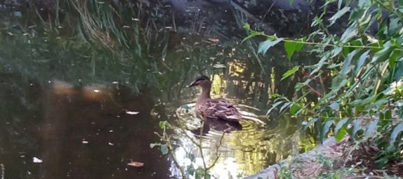 Casa T4 em Frettemeule, France N.º 54723 17