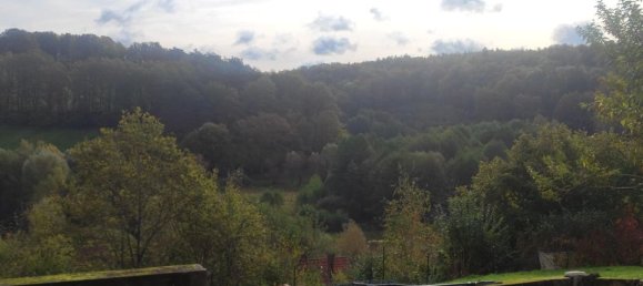 3 bedrooms House in Waldhouse, France No. 160509 3