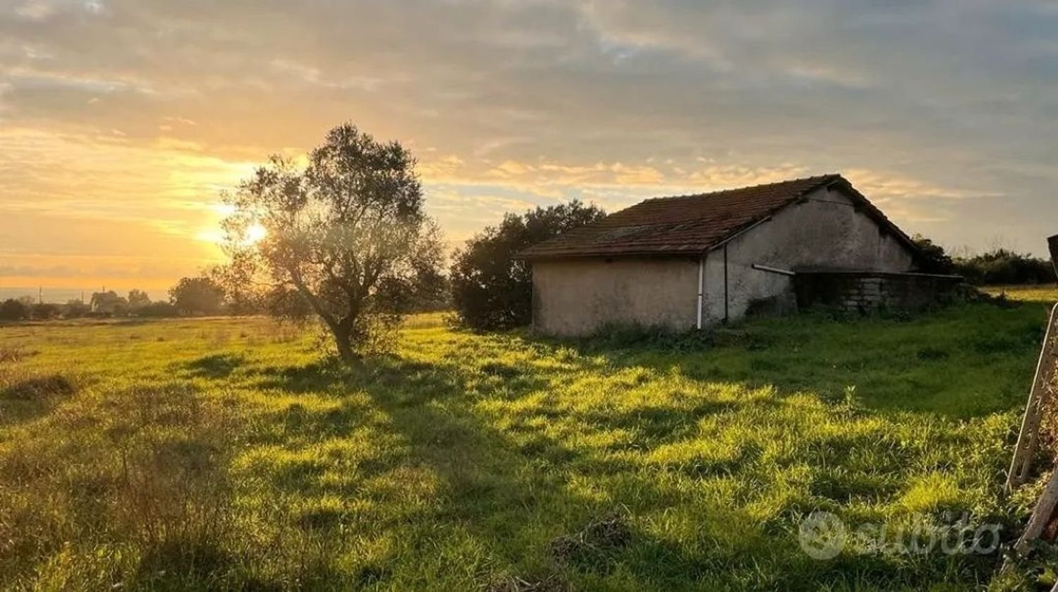 Terrain à Lanuvio, Italy No. 256432