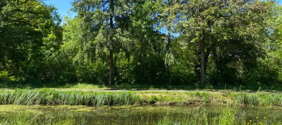  Land in Drevant, France No. 91120 3