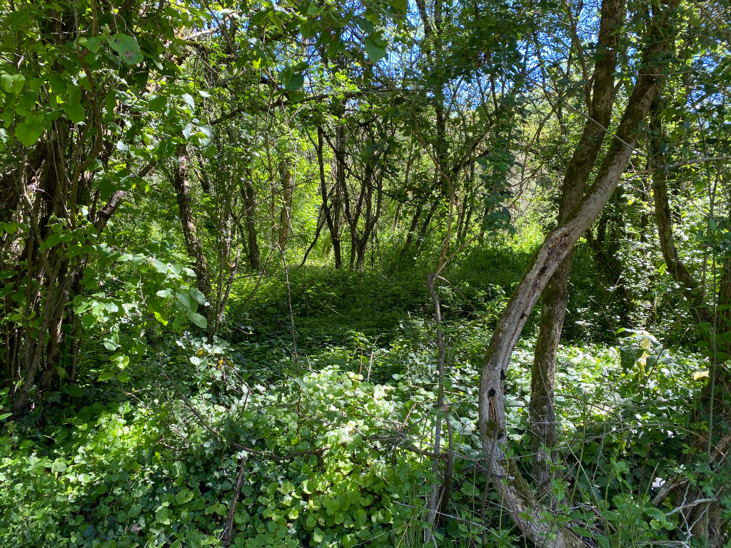  Land in Drevant, France No. 91120