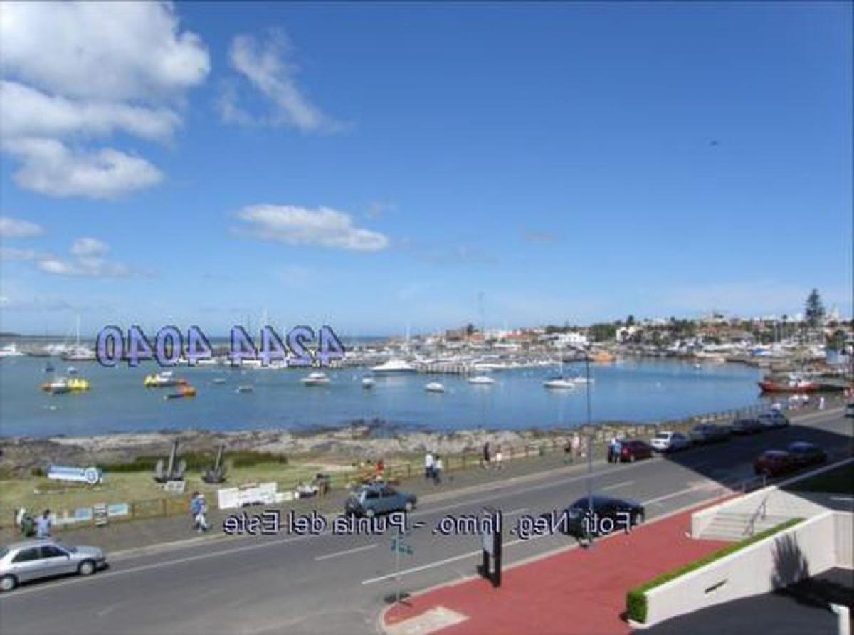 2 غرف نوم شقة في Punta del Este, Uruguay رقم 5889