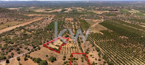  قطعة أرض في Sao Bartolomeu de Messines, Portugal 4200متر مربع رقم 58757 19