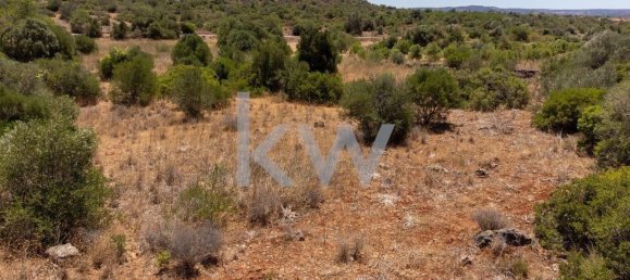  قطعة أرض في Sao Bartolomeu de Messines, Portugal 4200متر مربع رقم 58757 5