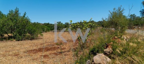  قطعة أرض في Sao Bartolomeu de Messines, Portugal 4200متر مربع رقم 58757 16