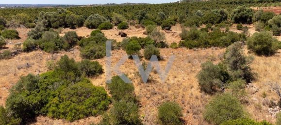  قطعة أرض في Sao Bartolomeu de Messines, Portugal 4200متر مربع رقم 58757 3