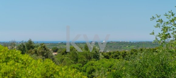  قطعة أرض في Sao Bartolomeu de Messines, Portugal 4200متر مربع رقم 58757 10