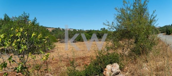  قطعة أرض في Sao Bartolomeu de Messines, Portugal 4200متر مربع رقم 58757 11