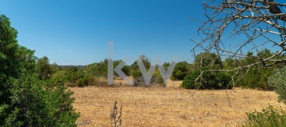  قطعة أرض في Sao Bartolomeu de Messines, Portugal 4200متر مربع رقم 58757 8