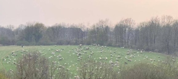 Дуплекс с 3 комнатами в Вупперталь, Германия № 315200 18