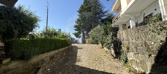 4 bedrooms House in Vila Real, Portugal No. 21587 24