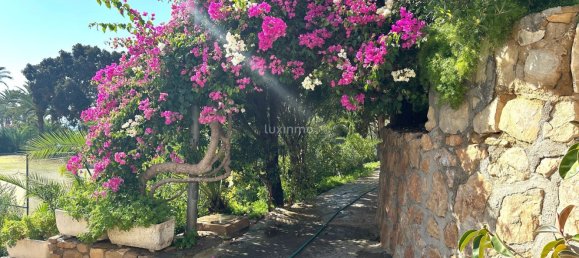 2 bedrooms Apartment in Alicante, Spain No. 148844 48