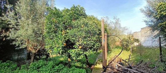 2 chambres Maison à Vale de Cavalos, Portugal No. 176825 12
