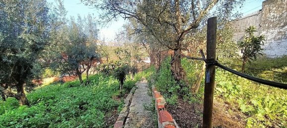2 chambres Maison à Vale de Cavalos, Portugal No. 176825 13