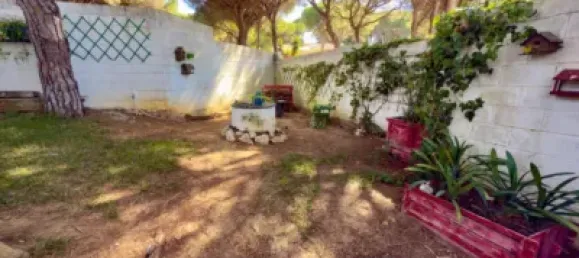 2 Schlafzimmer Haus in Cadiz, Spain, Nr. 169664 49