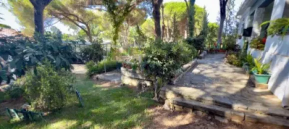 2 Schlafzimmer Haus in Cadiz, Spain, Nr. 169664 2