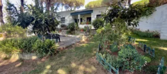 2 Schlafzimmer Haus in Cadiz, Spain, Nr. 169664 96