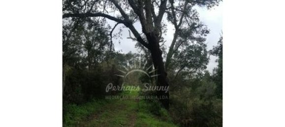 Земельный участок в Одемира, Португалия № 150002 26