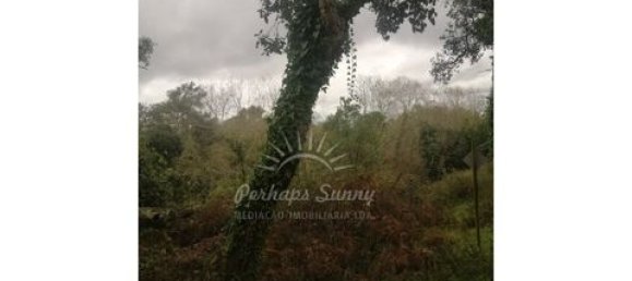 Земельный участок в Одемира, Португалия № 150002 14