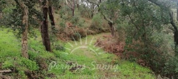 Земельный участок в Одемира, Португалия № 150002 16