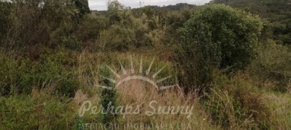 Земельный участок в Одемира, Португалия № 150002 21