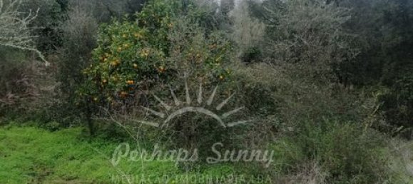 Земельный участок в Одемира, Португалия № 150002 25