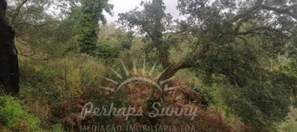 Земельный участок в Одемира, Португалия № 150002 18