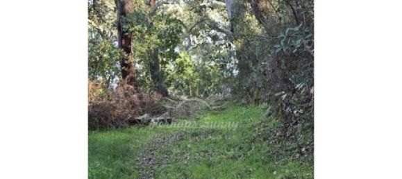 Земельный участок в Одемира, Португалия № 150002 15