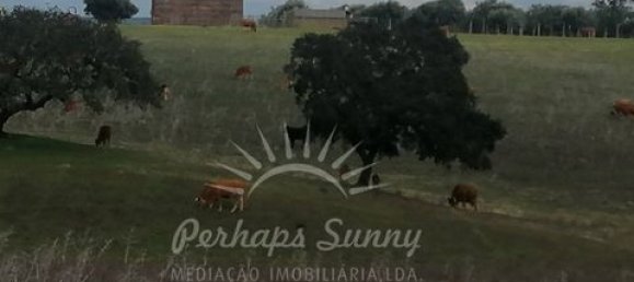 Земельный участок в Одемира, Португалия № 150002 30