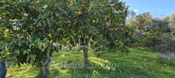 Земельный участок в Одемира, Португалия № 150002 13