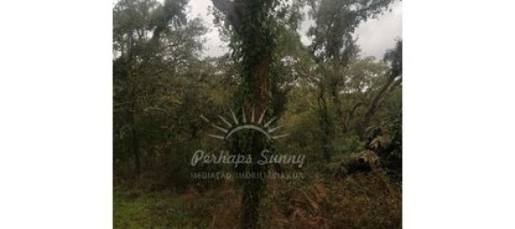 Земельный участок в Одемира, Португалия № 150002 17