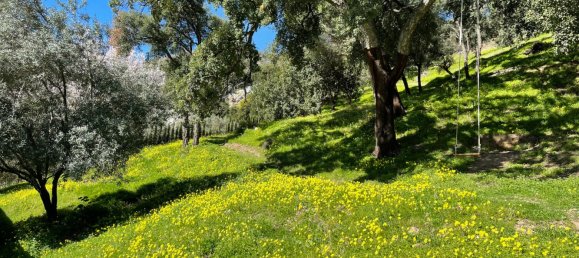 Земельный участок в Касарес, Испания № 135495 13