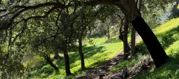 Земельный участок в Касарес, Испания № 135495 5