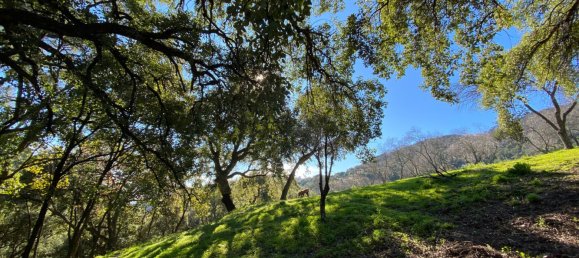 Земельный участок в Касарес, Испания № 135495 16