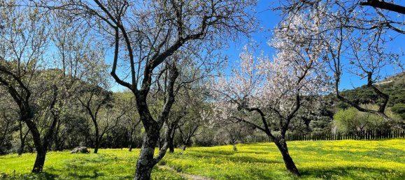 Земельный участок в Касарес, Испания № 135495 12