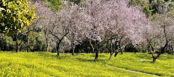 Земельный участок в Касарес, Испания № 135495 9