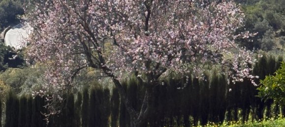 Земельный участок в Касарес, Испания № 135495 3