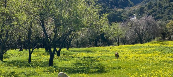 Земельный участок в Касарес, Испания № 135495 18