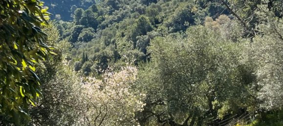 Земельный участок в Касарес, Испания № 135495 7