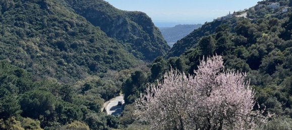 Земельный участок в Касарес, Испания № 135495 10