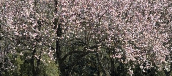 Земельный участок в Касарес, Испания № 135495 4