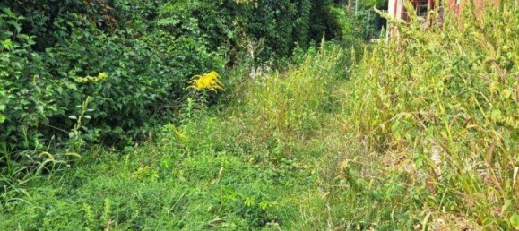  Land in Ganserndorf, Austria No. 255397 3